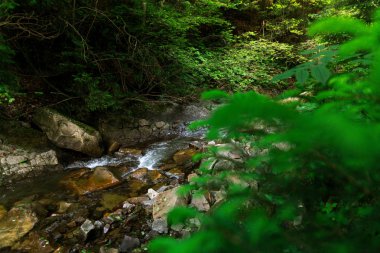 Dağ nehri su manzarası. Dağlardaki vahşi nehir. Dağ vahşi nehir manzarası