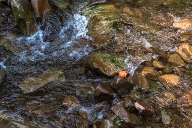 Dağ nehri su manzarası. Dağlardaki vahşi nehir. Dağ vahşi nehir manzarası
