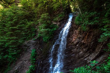 Dağ nehri su manzarası. Dağlardaki vahşi nehir. Dağ vahşi nehir manzarası