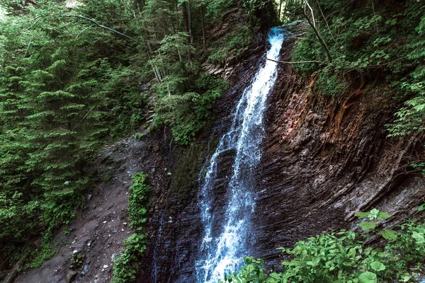 Dağ nehri su manzarası. Dağlardaki vahşi nehir. Dağ vahşi nehir manzarası