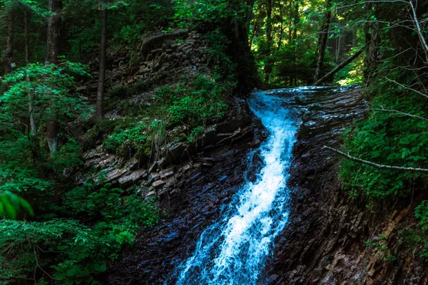 Dağ nehri su manzarası. Dağlardaki vahşi nehir. Dağ vahşi nehir manzarası