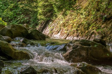 Dağ nehri su manzarası. Dağlardaki vahşi nehir. Dağ vahşi nehir manzarası