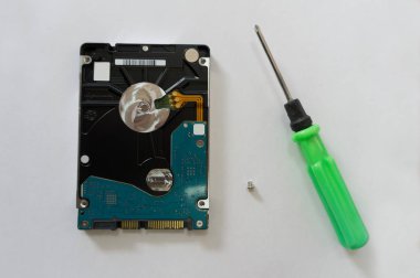 Beyaz arka plan bilgisayarınızın sabit diskinde. Hdd yanındaki bir tornavida ve küçük bir cıvata tutar. Bilgisayarınızın sabit sürücüyü değiştirme