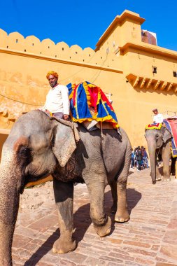 Fil biniciliği, Hintliler, yerli turistler, Amber Kalesi ve Jaipur Sarayı 