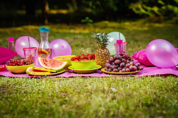 Picknick Deken Met Limonade Druif Aardbei Watermeloen Vruchten Een Zomer — Stockfoto