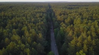 Yaz ormandaki bir yolda hareket eden bir arabanın hava uçak atış