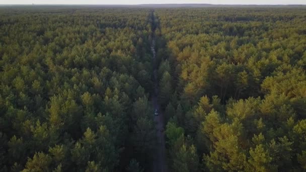 Vue Aérienne Drone Une Voiture Mouvement Sur Une Route Dans — Video