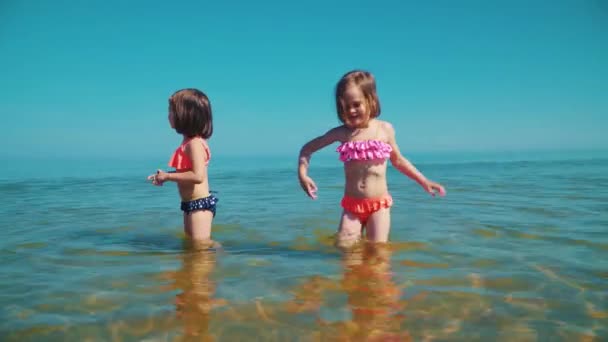 水着の つの愛らしい女の子が夏に海で遊んでいます — ストック動画