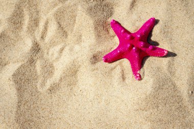 deniz yıldızı kum plaj tatil arka plan