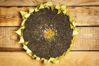 eski ahşap masa siyah bir zemin üzerine lezzetli ayçiçeği