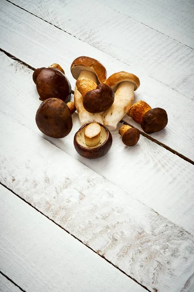 Achtergrond met rustieke witte platen en verse bruine champignons — Stockfoto