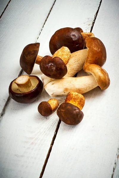 Achtergrond met rustieke witte platen en verse bruine champignons — Stockfoto