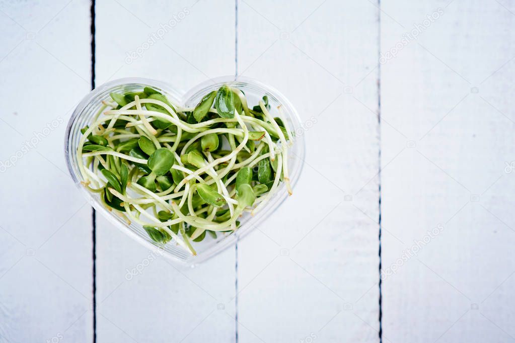 green sprouts sunflower in a heart shaped bowl on a white wooden table