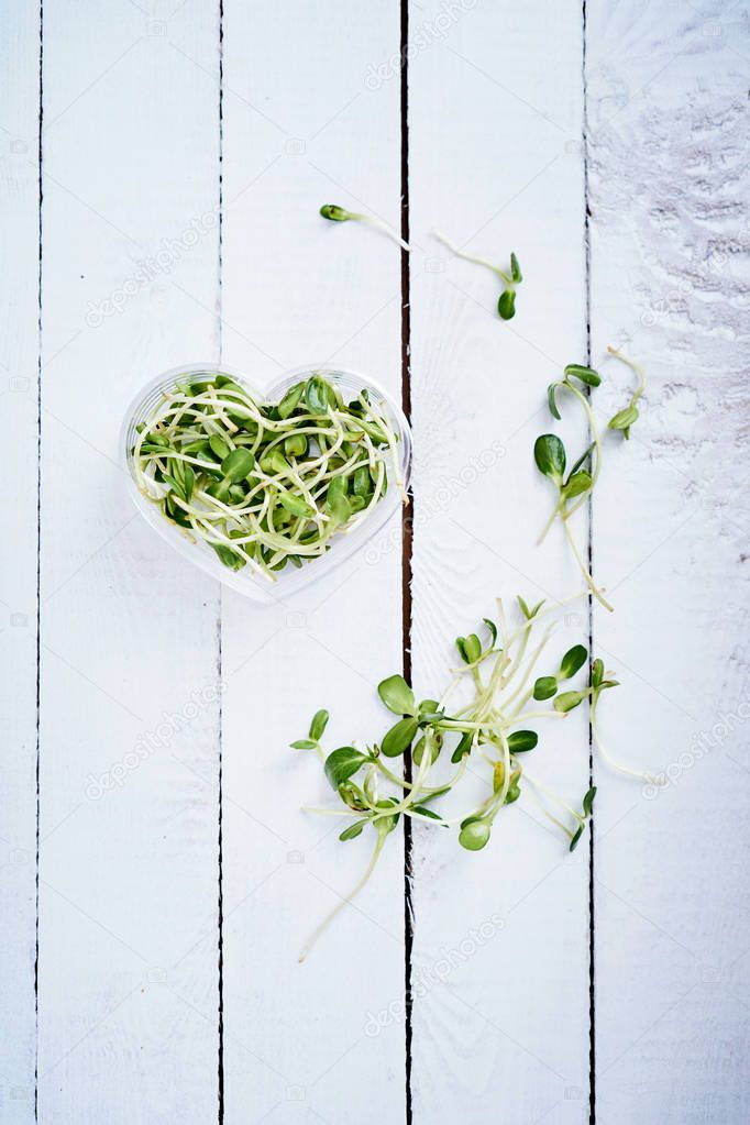 green sprouts sunflower in a heart shaped bowl on a white wooden table