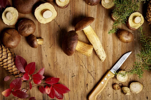 Mooi Bruin Vers Bronskleurig Paddestoel Een Mes Een Oude Houten — Stockfoto