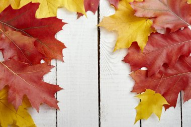 güzel renkli sarı ve kırmızı sonbahar yaprakları ahşap bir masa üzerine kurutulmuş