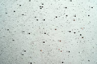 Tül gümüş ve beyaz bir closeup brocade arka plan