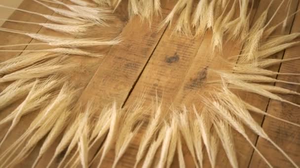 Golden ears of rye on old wooden table in circle — Stock Video