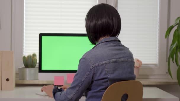 Vue arrière de la femme travaillant sur le clavier de l'ordinateur devant l'écran avec écran vert isolé — Video