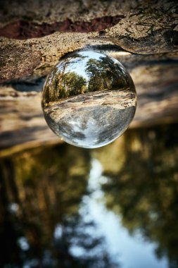 Güzel güneşli ormanın baş aşağı manzara