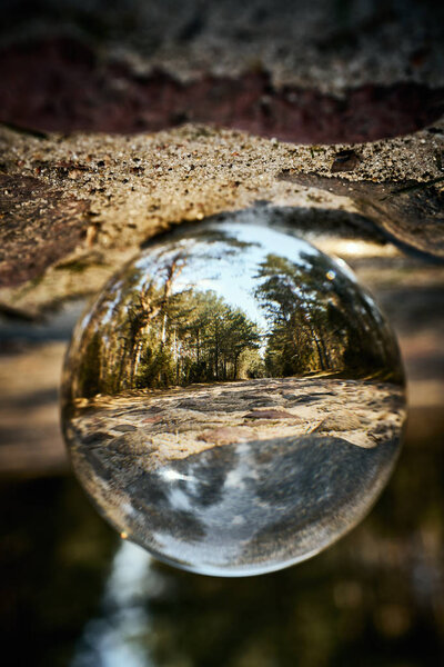 Upside down landscape of beautiful sunny forest