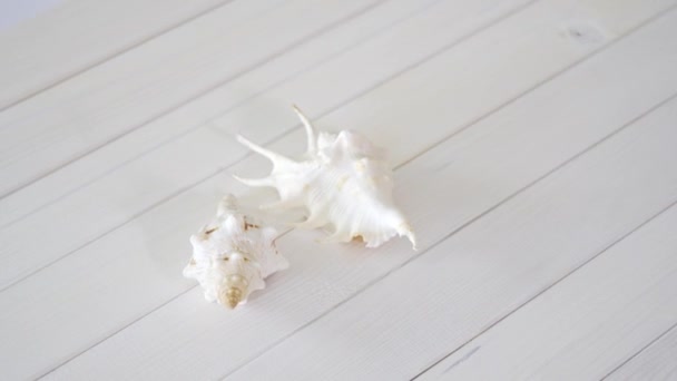 Dos recuerdos de vacaciones de conchas marinas blancas en una mesa de madera . — Vídeos de Stock