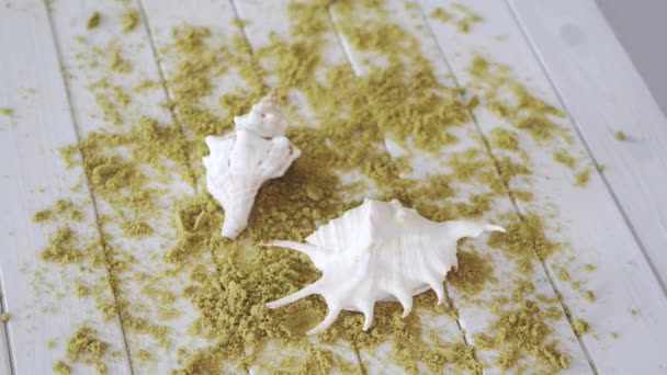 Två vita snäckskal semester souvenirer på träbord med sand. — Stockvideo