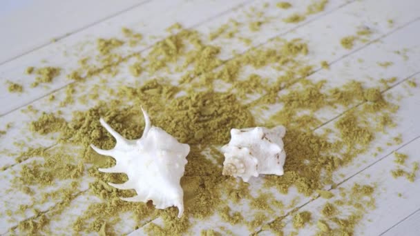 Zwei weiße Muscheln Urlaubssouvenirs auf Holztisch mit Sand. — Stockvideo