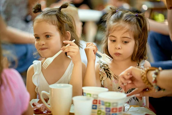 İki sevimli küçük kız yaz gününde aile piknik yiyor. — Stok fotoğraf