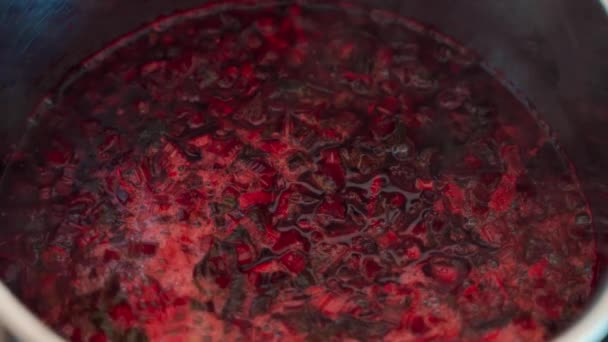 Gros plan de soupe de betterave bouillante bourgogne en pot . — Video