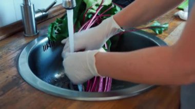 Mutfak lavabosunda pancar ı yıkarken eldivenli kadın ellerinin görünümü.