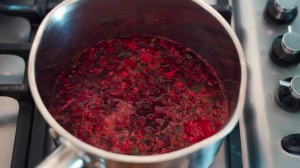 Nahaufnahme einer weinroten Rote-Bete-Suppe im Topf. — Stockvideo