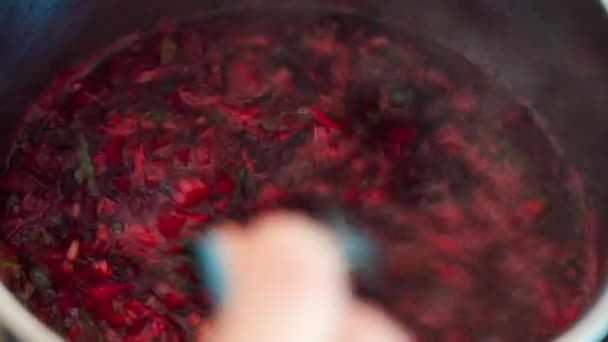 Frauenhand mischt kochende Rote-Bete-Suppe im Topf. — Stockvideo