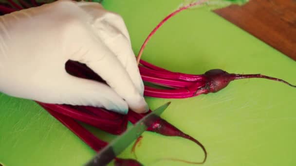 Close-up van vrouwelijke handen in handschoenen snijden baby bieten op houten tafel — Stockvideo