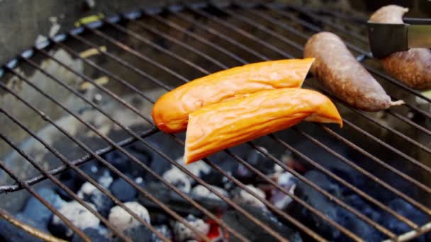 Sosis juicy pada panggangan panas selama barbekyu musim panas dalam gerakan lambat — Stok Video