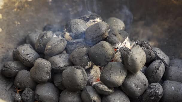 Gros plan de charbon rougeoyant dans la grille métallique le jour de l'été dans le jardin — Video