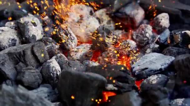 Крупный план светящегося угля в металлическом гриле в летний день в замедленной съемке — стоковое видео