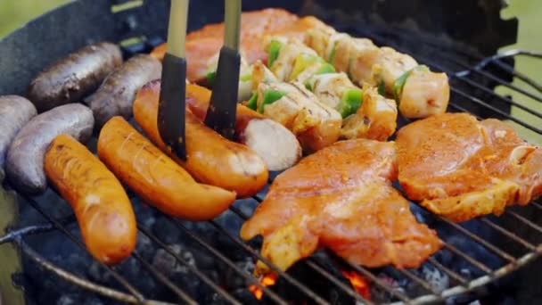 Diferentes tipos de carnes jugosas en brasas calientes a la parrilla en el jardín — Vídeos de Stock