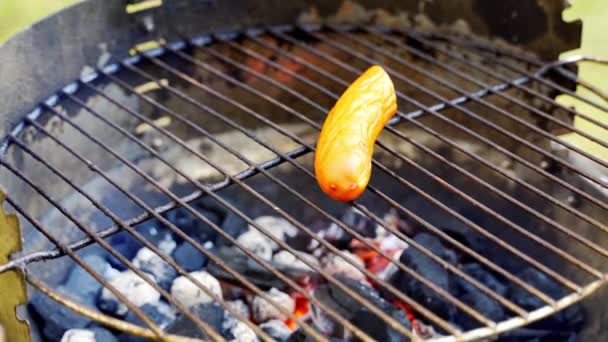 Saucisse juteuse sur un gril chaud avec pinces pendant le barbecue d'été — Video