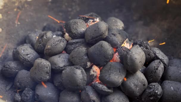 Bahçede yaz gününde metal ızgarada parlayan kömür closeup — Stok video