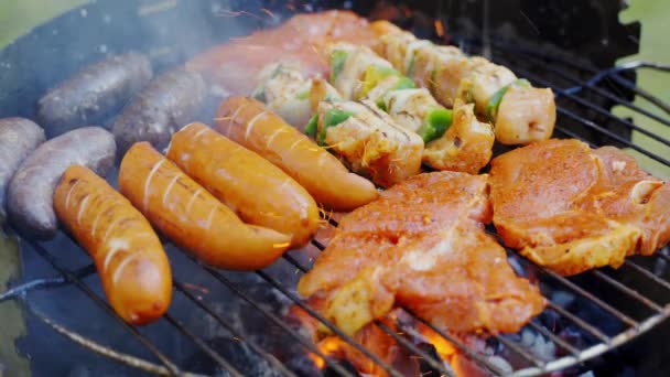 Различные виды сочного мяса на горячих углях на гриле в саду — стоковое видео