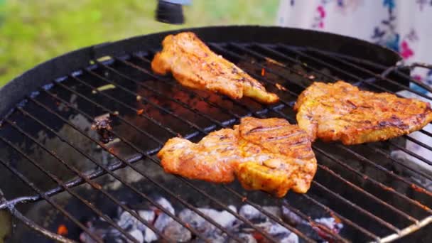 Filetes de carne jugosa en la parrilla con llama en la barbacoa en el jardín — Vídeos de Stock