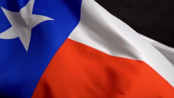 Texaská vlajka mávající vítr na den nezávislosti v Americe v pomalém mo — Stock video