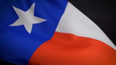 Texas bayrağı Amerika 'da bağımsızlık günü rüzgar sallayarak