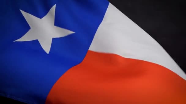 美国独立日,得克萨斯州国旗在风中飘扬 — 图库视频影像