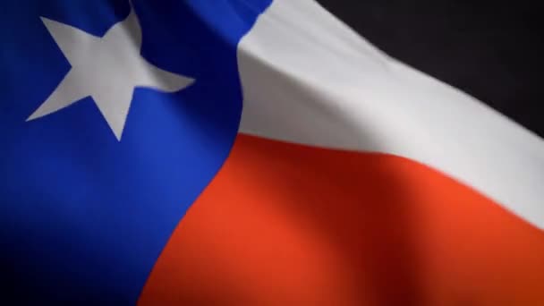 美国独立日,得克萨斯州国旗在风中飘扬 — 图库视频影像