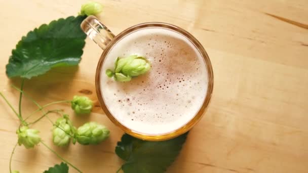 Top view of mug of beer with foam and hops on bright wooden table — Stock Video