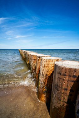 Tahta yığınları denizdeki yosunlarla kaplanmış.