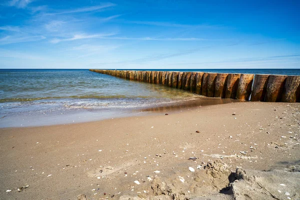 Pilhas de madeira cobertas com algas marinhas no mar — Fotografia de Stock
