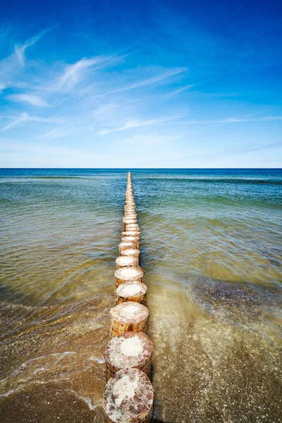 Tahta yığınları denizdeki yosunlarla kaplanmış.